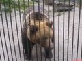 Tierpark Grünau!!!!! 46304442