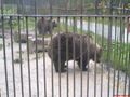 Tierpark Grünau!!!!! 46304464