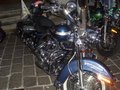 Harley Davdison Treffen 24810863