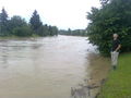 Hochwasser 23.6.09 61852599