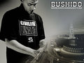 BUSHIDO 26141003