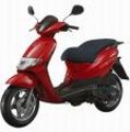 MoPeD 25416755