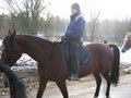Mein Pferd Wanda 26683777