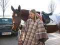 Mein Pferd Wanda 26683789