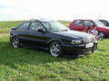 VW/Audi Treffen 44814725