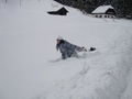 auf da hochsteinalm.... 54213149