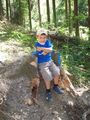 Wald der Kinder 55421557