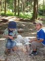 Wald der Kinder 55421593