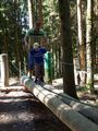 Wald der Kinder 55421600