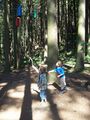 Wald der Kinder 55421629