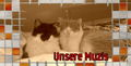 Unsere Katzen :) 54255195