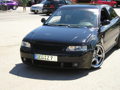 GTI Treffen 07 31135879