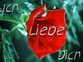 LiEbE 26481909