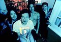 Red Hot Chili Peppers 26463132