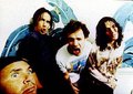 Red Hot Chili Peppers 26463137