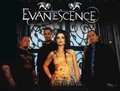 rammstein und evernecenc 25817976