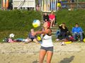 ~ VOLLEYBALL ~ 68003961