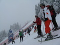 Kitzbühel + Hinterstoder 2012 76014321