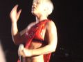 ???P!nk Konzert ??? 56671216