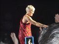 ???P!nk Konzert ??? 56671495