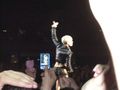 ???P!nk Konzert ??? 56671797