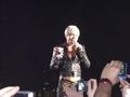 ???P!nk Konzert ??? 56671946