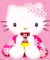 hello kitty!!! so,... sweet!! 29021132