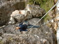 Dachstein Silberkarklam Klettersteig 26265551