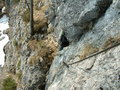 Predigtstuhl Klettersteig in Bad Goisern 26298533