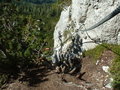 Klettersteig Steinplatte-Tirol 27019468