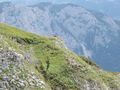 Loser Klettersteig inkl. Loserhöhle 40989004