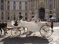 Wien City & DONAUINSELFEST 08 44787096