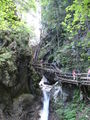 Vogelgesang Klamm 2009 63908625