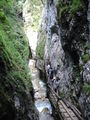 Vogelgesang Klamm 2009 63908641