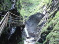 Vogelgesang Klamm 2009 63908649