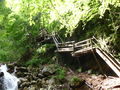 Vogelgesang Klamm 2009 63908693