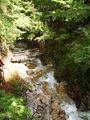 Vogelgesang Klamm 2009 63908699