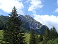 Vogelgesang Klamm 2009 63908736