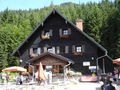 Vogelgesang Klamm 2009 63908746