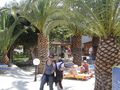 Kos 2008 42081392