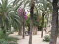 Barcelona 2008 40229136