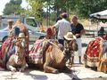 Alanya Türkei Aug. `08 44189496