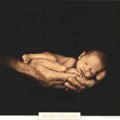 Anne Geddes 32870131