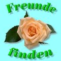 Freunde 66291356