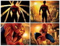 spiderman 25831113