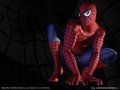 spiderman 25831116