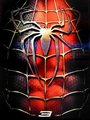 spiderman 25831147