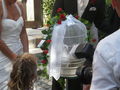 Rene´ Andrea Hochzeit 64696045