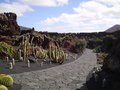 Urlaub 2007 Lanzarote 26299589