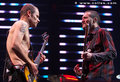 Red Hot Chili Peppers Live in Wien 12276457